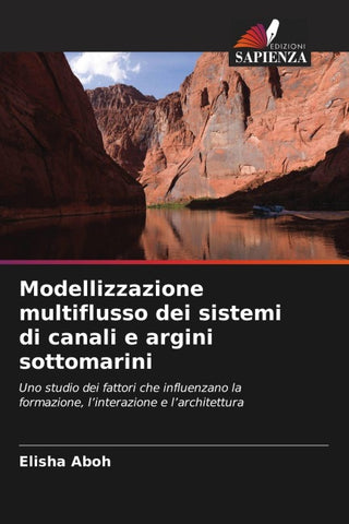 Modellizzazione multiflusso dei sistemi di canali e argini sottomarini