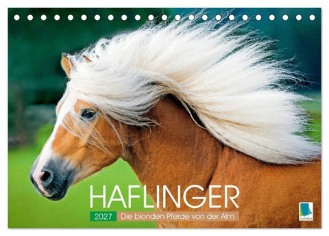 Haflinger: Die blonden Pferde von der Alm (Tischkalender 2027 DIN A5 quer), CALVENDO Monatskalender
