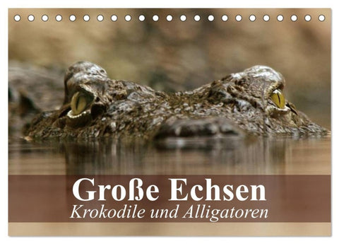 Große Echsen. Krokodile und Alligatoren (Tischkalender 2027 DIN A5 quer), CALVENDO Monatskalender