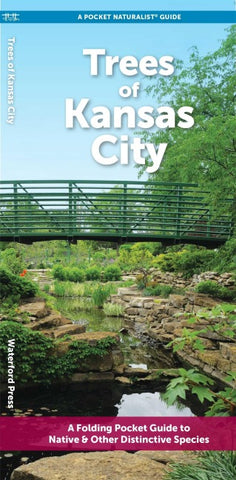Trees of Kansas City