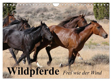 Wildpferde. Frei wie der Wind (Wandkalender 2026 DIN A4 quer), CALVENDO Monatskalender