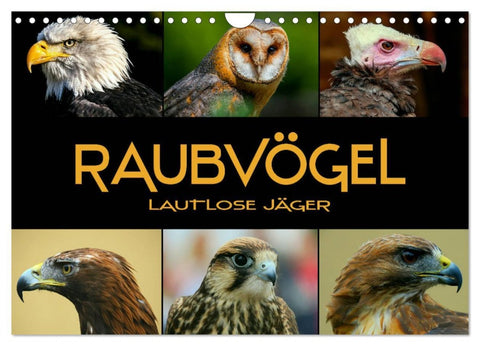 Raubvögel - lautlose Jäger (Wandkalender 2026 DIN A4 quer), CALVENDO Monatskalender