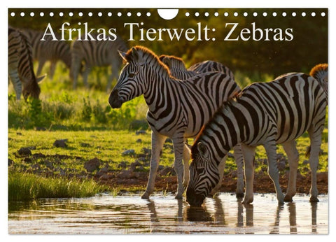 Afrikas Tierwelt: Zebras (Wandkalender 2026 DIN A4 quer), CALVENDO Monatskalender