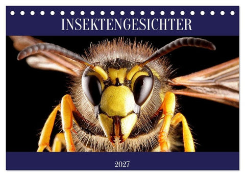 INSEKTENGESICHTER (Tischkalender 2027 DIN A5 quer), CALVENDO Monatskalender