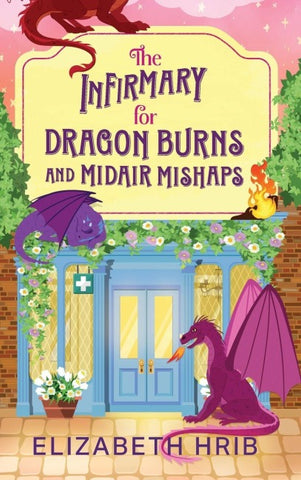 The Infirmary for Dragon Burns and Midair Mishaps