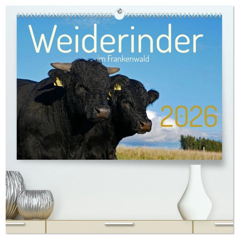 Weiderinder im Frankenwald (hochwertiger Premium Wandkalender 2026 DIN A2 quer), Kunstdruck in Hochglanz