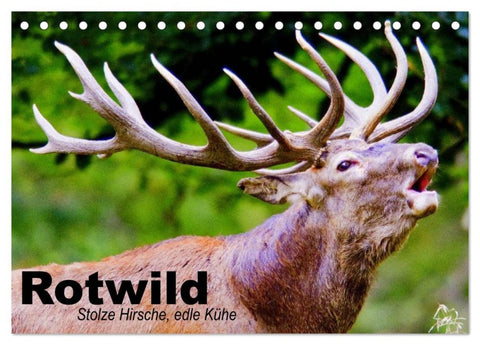 Rotwild. Edle Hirsche, stolze Kühe (Tischkalender 2026 DIN A5 quer), CALVENDO Monatskalender