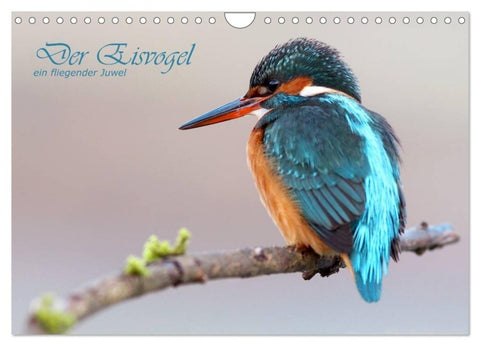 Der Eisvogel (Wandkalender 2027 DIN A4 quer), CALVENDO Monatskalender