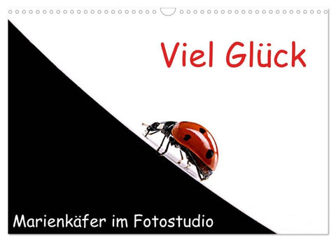 Viel Glück - Marienkäfer im Fotostudio (Wandkalender 2026 DIN A3 quer), CALVENDO Monatskalender