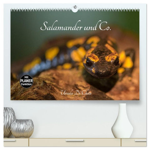 Salamander und Co. (hochwertiger Premium Wandkalender 2026 DIN A2 quer), Kunstdruck in Hochglanz