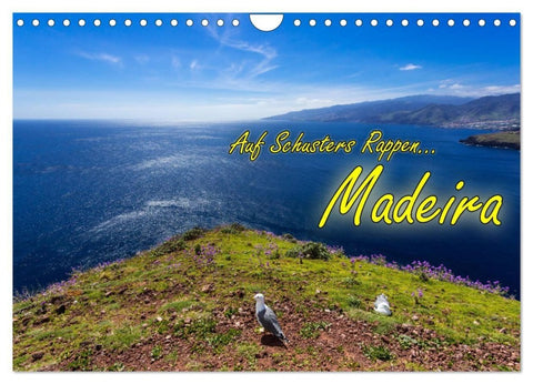 Auf Schusters Rappen... Madeira (Wandkalender 2027 DIN A4 quer), CALVENDO Monatskalender