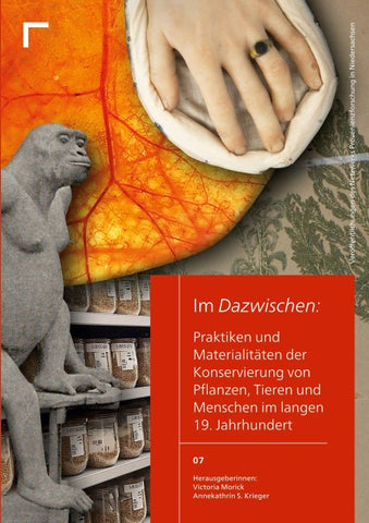 Im Dazwischen