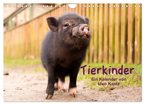 Tierkinder (Wandkalender 2027 DIN A4 quer), CALVENDO Monatskalender
