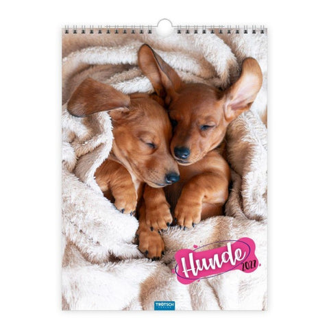 TRÖTSCH - Classickalender Hunde 2027