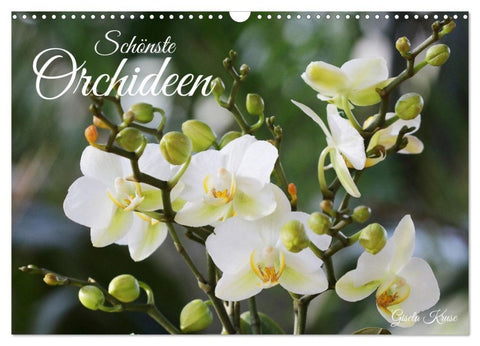 Schönste Orchideen (Wandkalender 2027 DIN A3 quer), CALVENDO Monatskalender