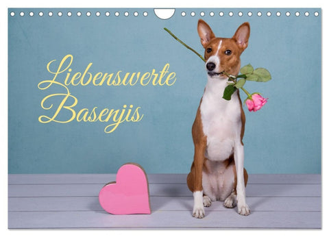 Liebenswerte Basenjis (Wandkalender 2026 DIN A4 quer), CALVENDO Monatskalender