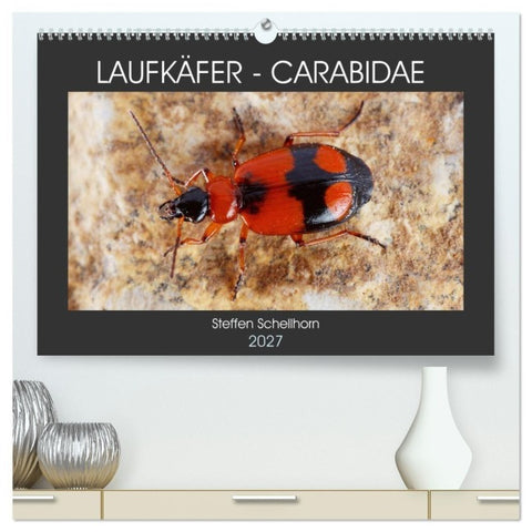 LAUFKÄFER - CARABIDAE (hochwertiger Premium Wandkalender 2027 DIN A2 quer), Kunstdruck in Hochglanz