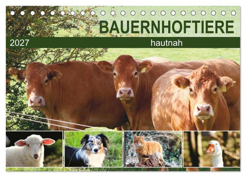Bauernhoftiere hautnah (Tischkalender 2027 DIN A5 quer), CALVENDO Monatskalender