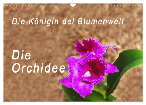 Die Königin der Blumenwelt, die Orchidee (Wandkalender 2026 DIN A3 quer), CALVENDO Monatskalender