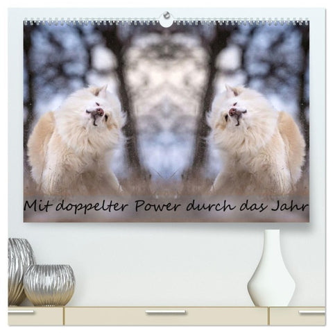 Mit doppelter Power durch das Jahr (hochwertiger Premium Wandkalender 2027 DIN A2 quer), Kunstdruck in Hochglanz