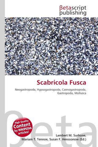 Scabricola Fusca