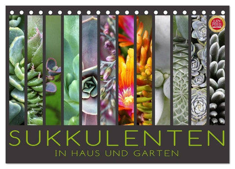 Sukkulenten in Haus und Garten (Tischkalender 2026 DIN A5 quer), CALVENDO Monatskalender