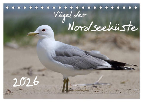 Vögel der Nordseeküste (Tischkalender 2026 DIN A5 quer), CALVENDO Monatskalender