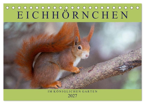 Eichhörnchen im Königlichen Garten (Tischkalender 2027 DIN A5 quer), CALVENDO Monatskalender