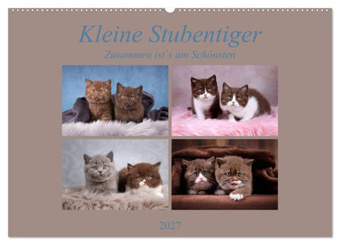 Kleine Stubenstiger (Wandkalender 2027 DIN A2 quer), CALVENDO Monatskalender