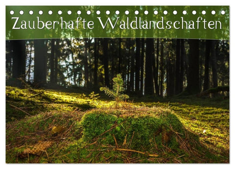 Zauberhafte Waldlandschaften (Tischkalender 2027 DIN A5 quer), CALVENDO Monatskalender
