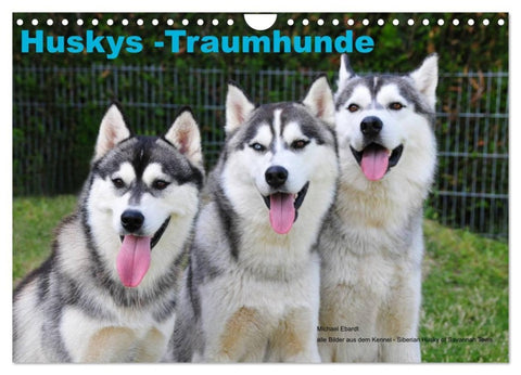 Huskys - Traumhunde (Wandkalender 2027 DIN A4 quer), CALVENDO Monatskalender