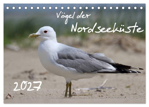Vögel der Nordseeküste (Tischkalender 2027 DIN A5 quer), CALVENDO Monatskalender