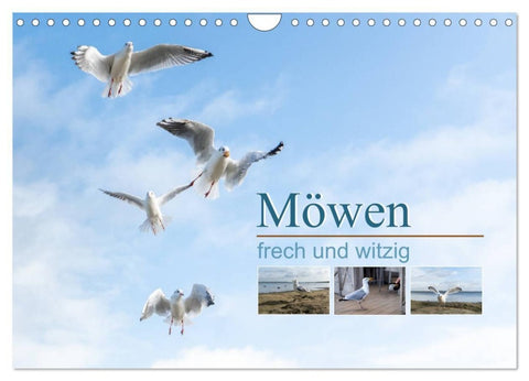 Möwen frech und witzig (Wandkalender 2027 DIN A4 quer), CALVENDO Monatskalender