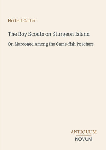 The Boy Scouts on Sturgeon Island