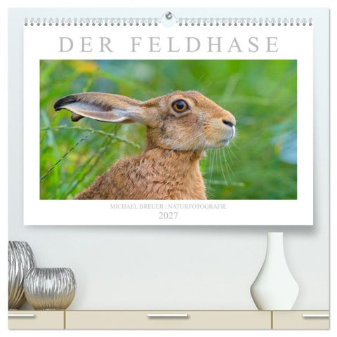 Der Feldhase (hochwertiger Premium Wandkalender 2027 DIN A2 quer), Kunstdruck in Hochglanz
