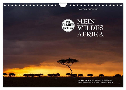 Emotionale Momente: Mein wildes Afrika (Wandkalender 2026 DIN A4 quer), CALVENDO Monatskalender