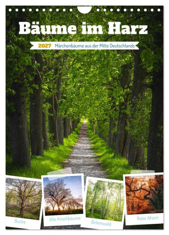 Bäume im Harz (Wandkalender 2027 DIN A4 hoch), CALVENDO Monatskalender
