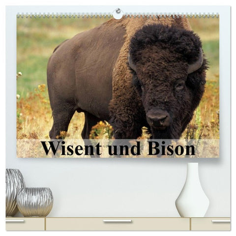 Wisent und Bison (hochwertiger Premium Wandkalender 2026 DIN A2 quer), Kunstdruck in Hochglanz