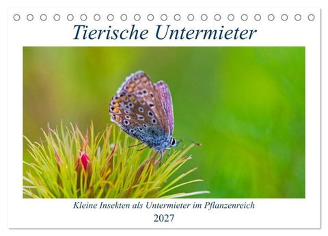 Tierische Untermieter (Tischkalender 2027 DIN A5 quer), CALVENDO Monatskalender