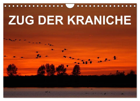 Zug der Kraniche (Wandkalender 2027 DIN A4 quer), CALVENDO Monatskalender