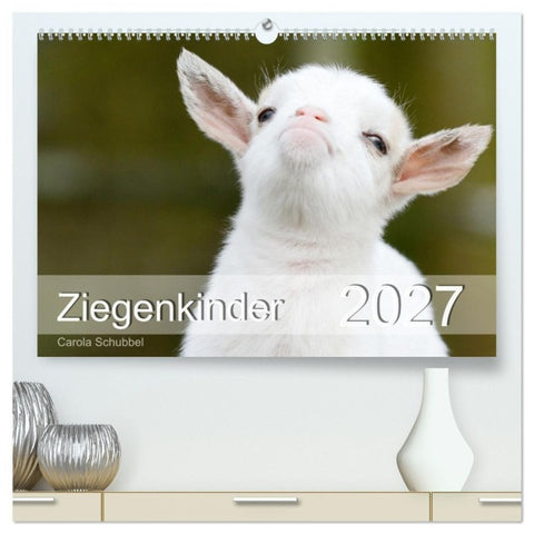 Ziegenkinder (hochwertiger Premium Wandkalender 2027 DIN A2 quer), Kunstdruck in Hochglanz