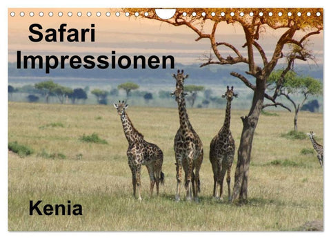 Safari Impressionen / Kenia (Wandkalender 2026 DIN A4 quer), CALVENDO Monatskalender