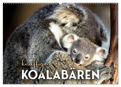Knuffige Koalabären (Wandkalender 2027 DIN A2 quer), CALVENDO Monatskalender
