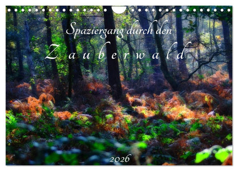 Spaziergang durch den Zauberwald (Wandkalender 2026 DIN A4 quer), CALVENDO Monatskalender