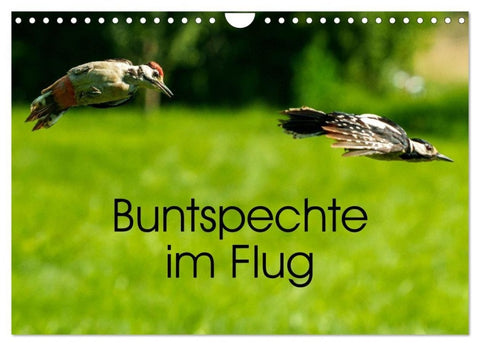 Buntspechte im Flug (Wandkalender 2027 DIN A4 quer), CALVENDO Monatskalender