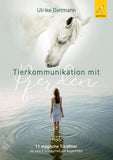 Tierkommunikation mit Pferden