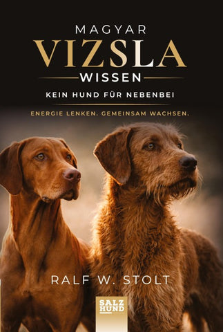 Magyar Vizsla Wissen: Kein Hund für nebenbei