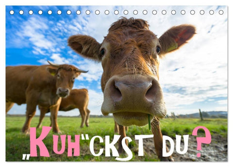 Kuhckst du? (Tischkalender 2027 DIN A5 quer), CALVENDO Monatskalender