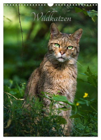 Wildkatzen - scheue Jäger (Wandkalender 2027 DIN A3 hoch), CALVENDO Monatskalender