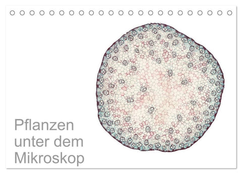 Pflanzen unter dem Mikroskop (Tischkalender 2027 DIN A5 quer), CALVENDO Monatskalender
